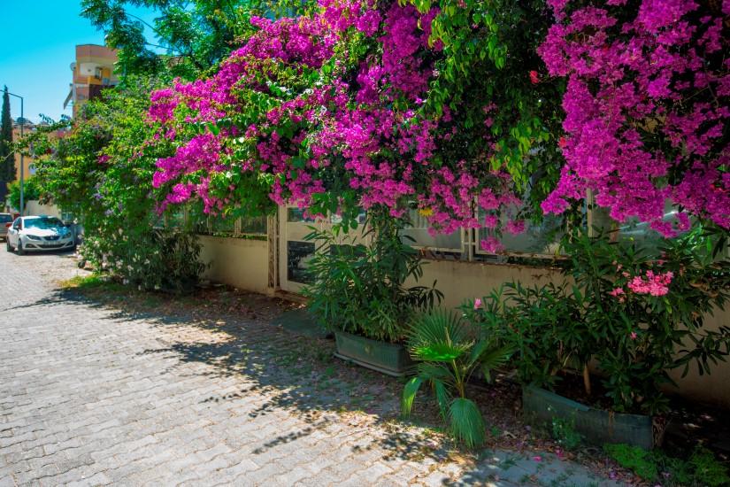 MAY176 - Фото 21