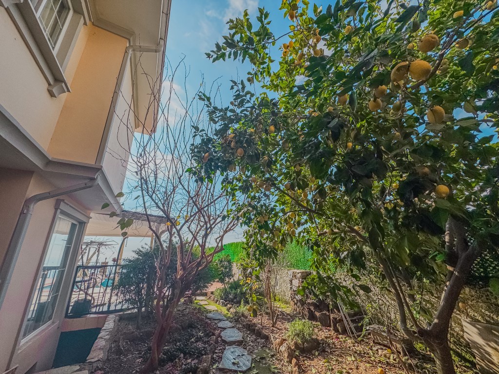 MAY6756 - Фото 6