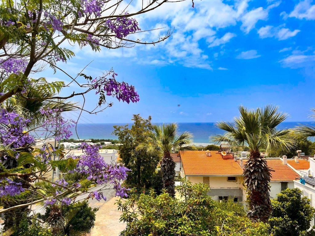 MAY6763 - Фото 1