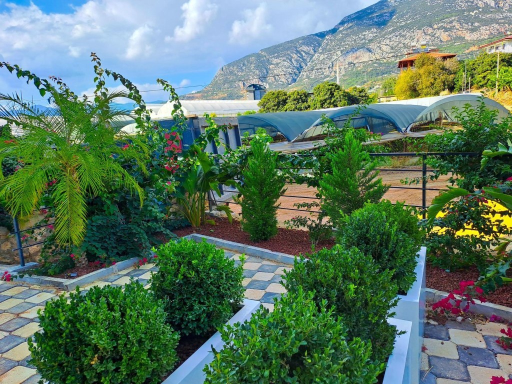 MAY6781 - Фото 7