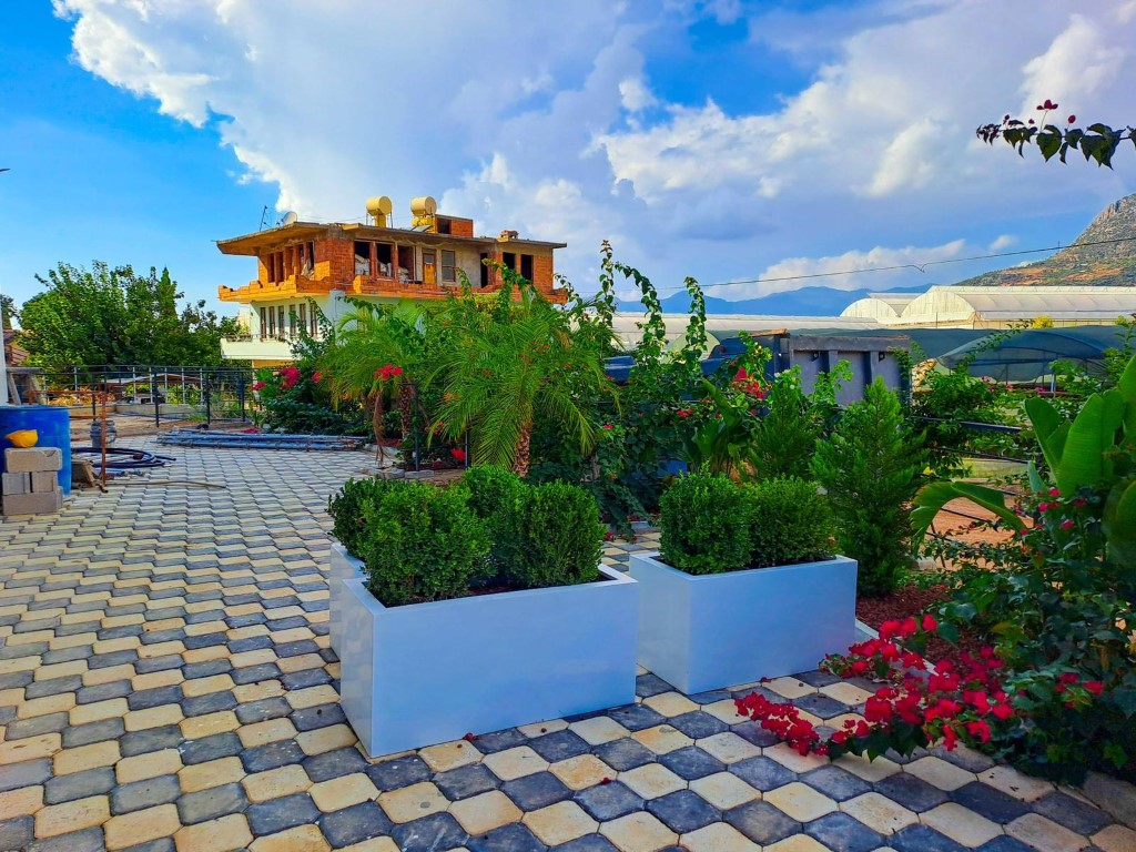 MAY6781 - Фото 4