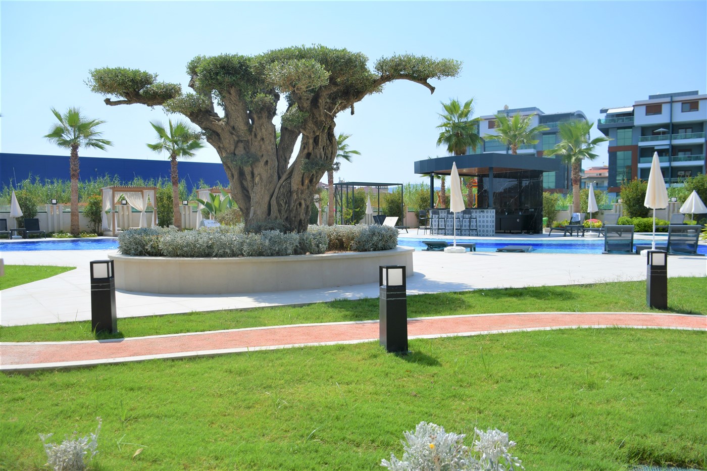 MAY6812 - Фото 15