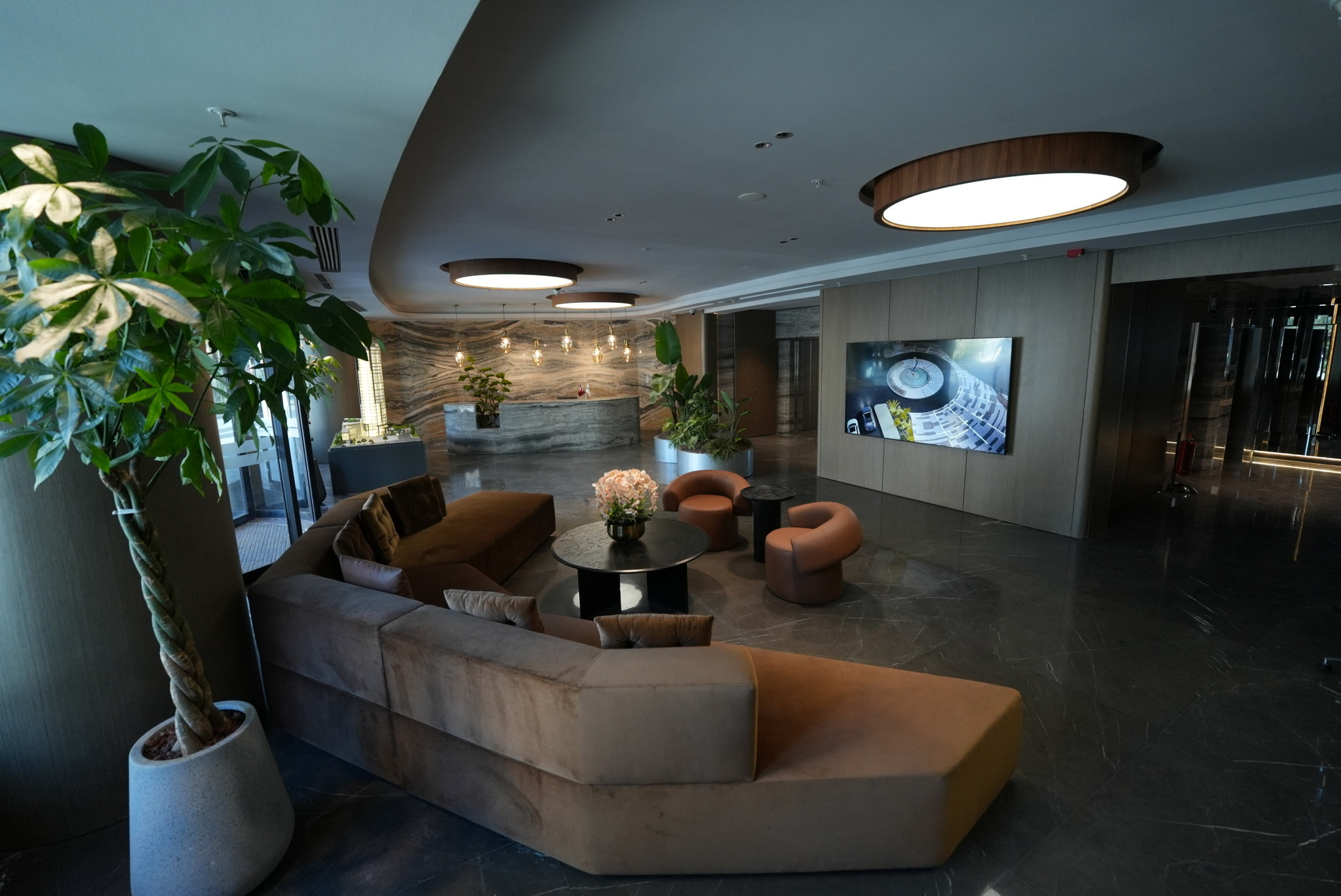 MAY6857 - Фото 4